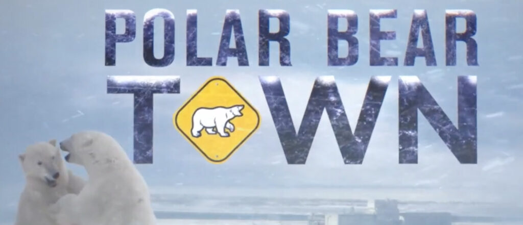 Polar Bear Town shows a winter snowstorm in a Northern Canadian city with 2 polar bears in the bottom left.